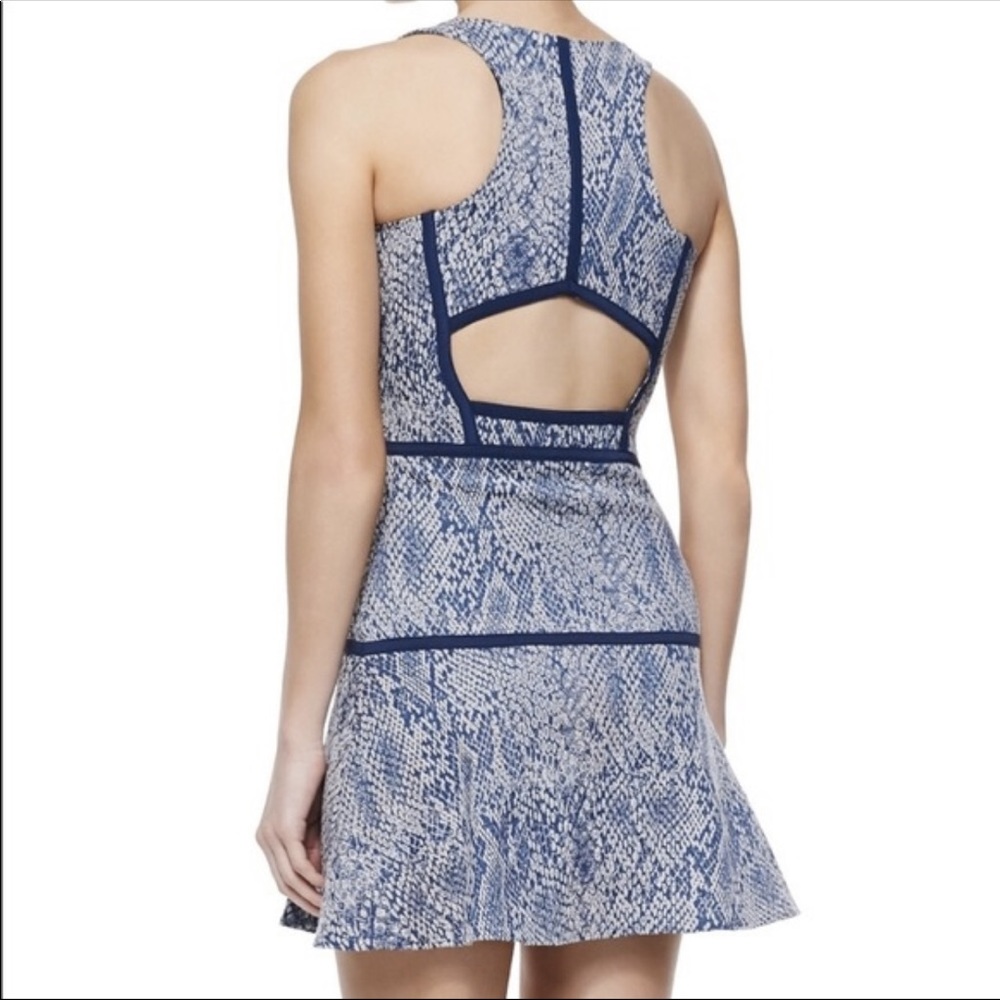 NWT Parker Blue Snakeskin Dress